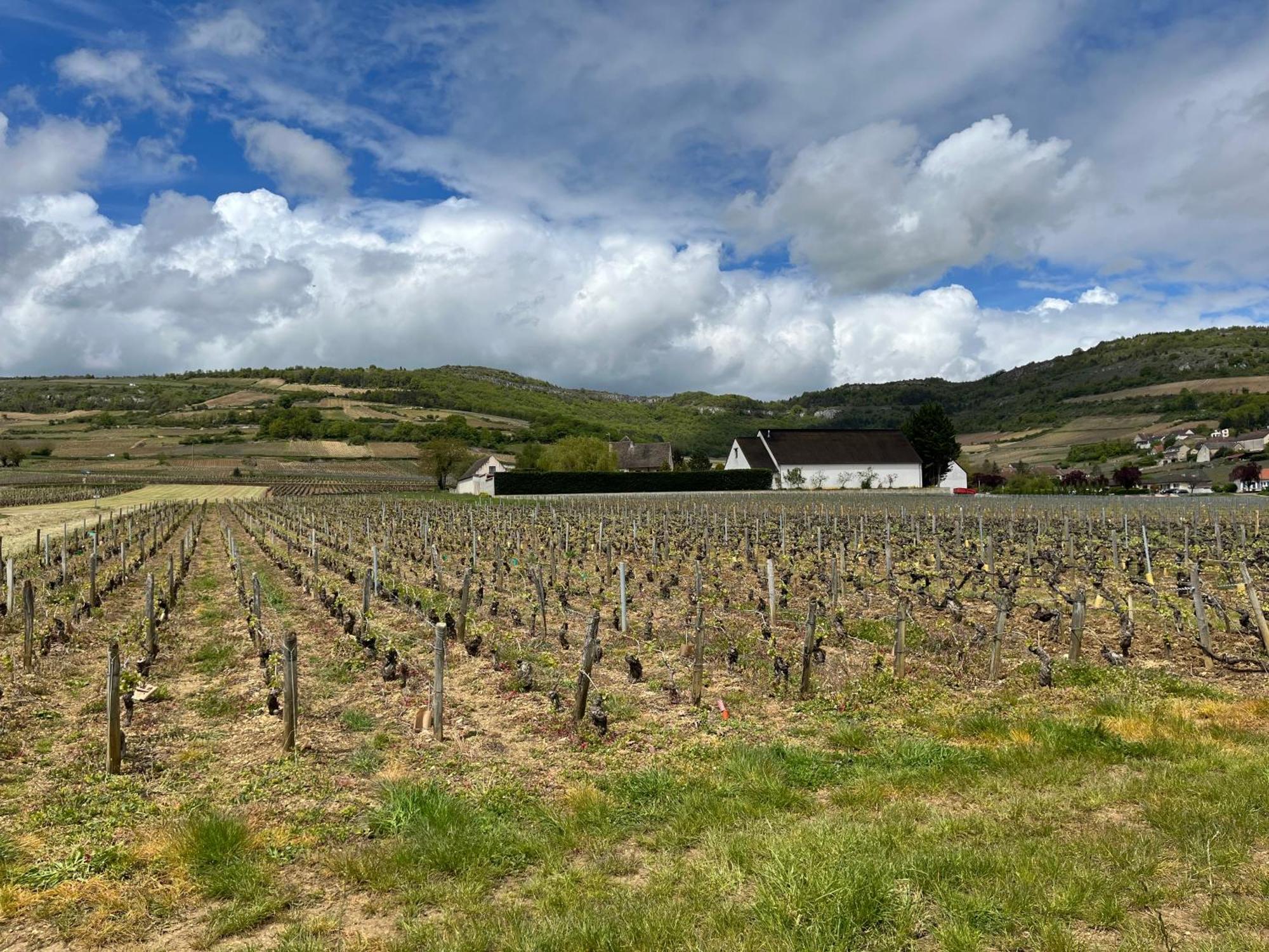 Camping De Santenay Santenay  Exterior photo